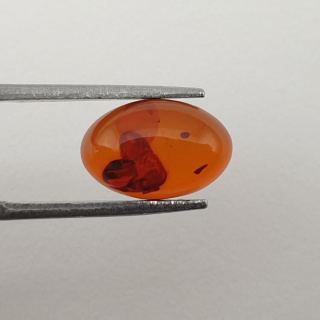 Baltic amber cabochon 12x8 mm no. 466
