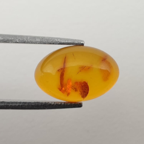 Baltic amber cabochon 12x8 mm no. 477 Baltic amber cabochon 12x8 mm no. 477