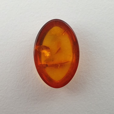 Baltic amber cabochon 12x8 mm no. 477 Baltic amber cabochon 12x8 mm no. 477