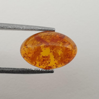 Baltic amber cabochon 12x8 mm no 479