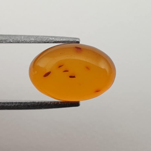 Baltic amber cabochon 12x8 mm no. 501 Baltic amber cabochon 12x8 mm no. 501