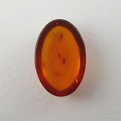 Baltic amber cabochon 12x8 mm no. 501 Baltic amber cabochon 12x8 mm no. 501