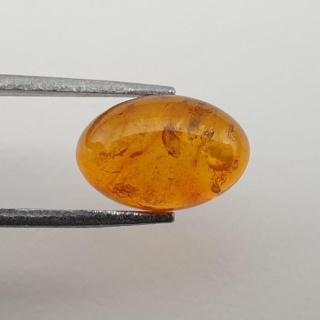 Baltic amber cabochon 12x8 mm no. 506