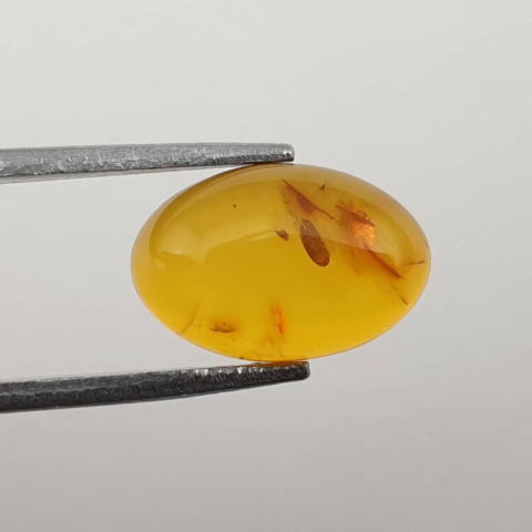 Baltic amber cabochon 12x8 mm no. 532 Baltic amber cabochon 12x8 mm no. 532