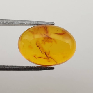 Baltic amber cabochon 14x10 mm no 498