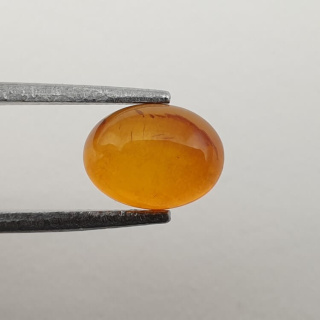 Baltic amber cabochon 8x6 mm no 495