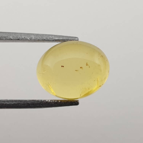 Baltic amber cabochon 10x8 mm no 555