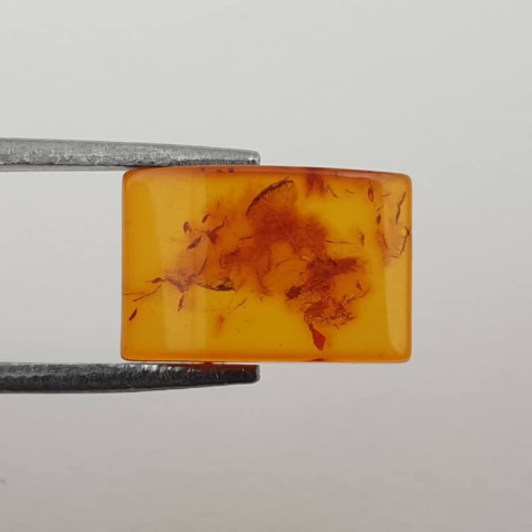 Baltic amber cabochon 12x8 mm no. 707 Baltic amber cabochon 12x8 mm no. 707