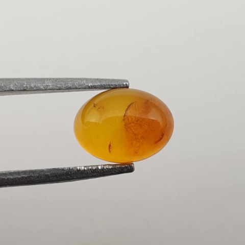 Baltic amber cabochon 8x6 mm no 560 Baltic amber cabochon 8x6 mm no 560
