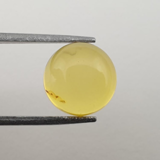 Baltic amber cabochon fi 10 mm no 574