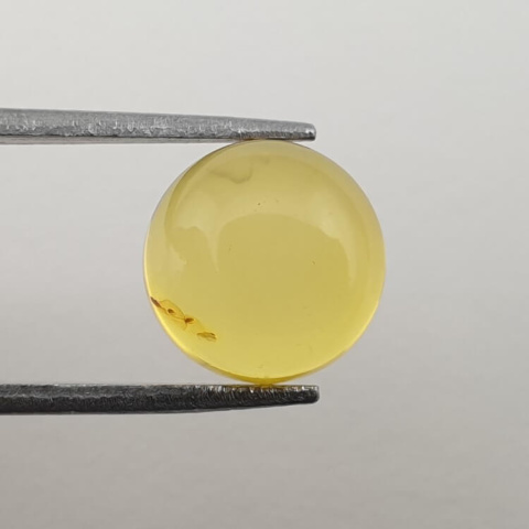 Baltic amber cabochon fi 10 mm no 574 Baltic amber cabochon fi 10 mm no 574