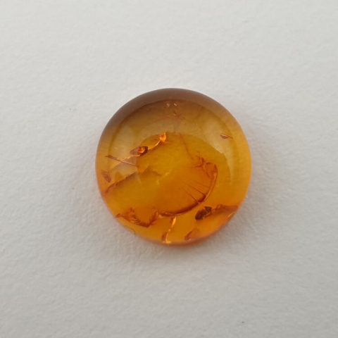 Baltic amber cabochon fi 10 mm no. 575 Baltic amber cabochon fi 10 mm no. 575