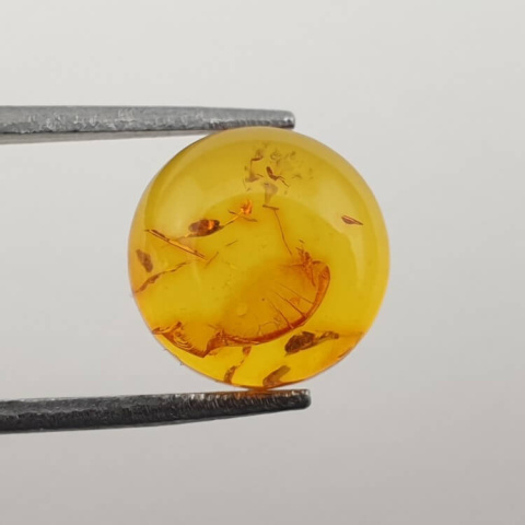 Baltic amber cabochon fi 10 mm no. 575 Baltic amber cabochon fi 10 mm no. 575