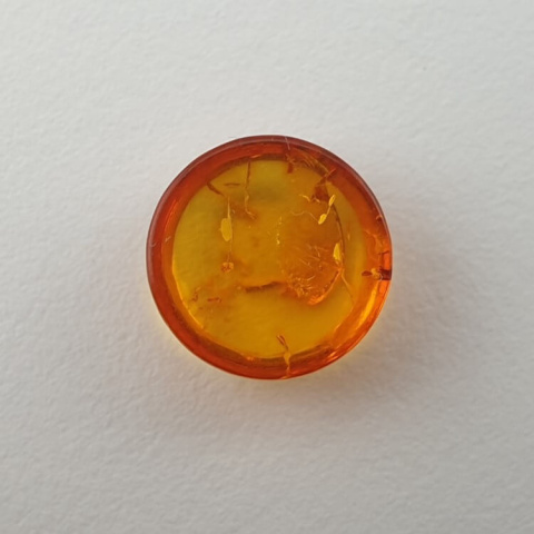 Baltic amber cabochon fi 10 mm no. 575 Baltic amber cabochon fi 10 mm no. 575