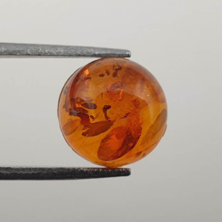 Baltic amber cabochon fi 10 mm no 579