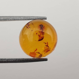 Baltic amber cabochon fi 10 mm no 580