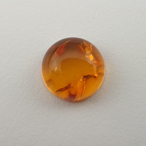 Baltic amber cabochon fi 10 mm no 582 Baltic amber cabochon fi 10 mm no 582
