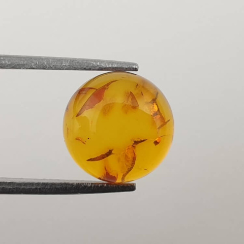 Baltic amber cabochon fi 10 mm no 582 Baltic amber cabochon fi 10 mm no 582