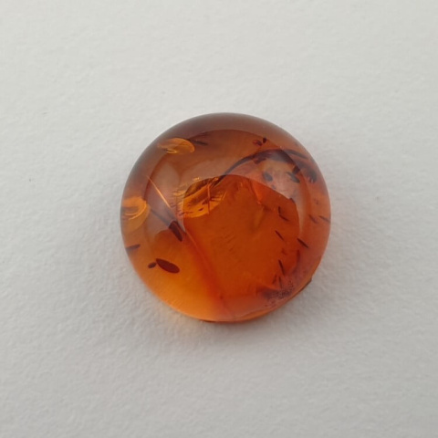 Baltic amber cabochon fi 10 mm no 583 Baltic amber cabochon fi 10 mm no 583