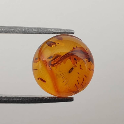 Baltic amber cabochon fi 10 mm no 583 Baltic amber cabochon fi 10 mm no 583