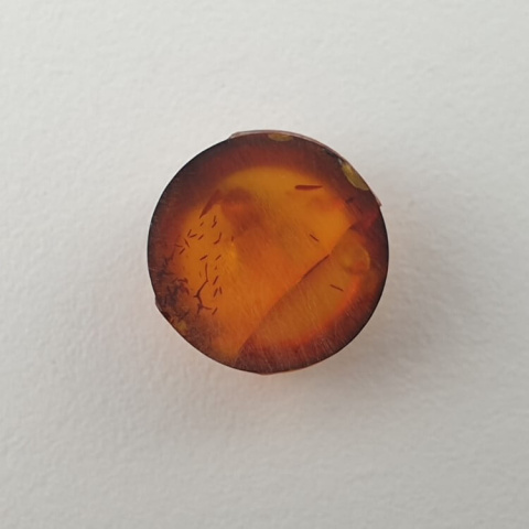 Baltic amber cabochon fi 10 mm no 583 Baltic amber cabochon fi 10 mm no 583