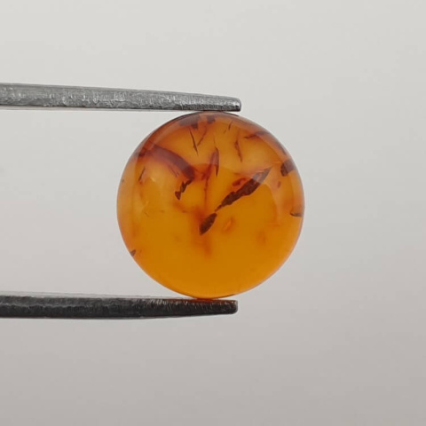 Bursztyn bałtycki kaboszon fi 10 mm nr 584 Bursztyn bałtycki kaboszon fi 10 mm nr 584
