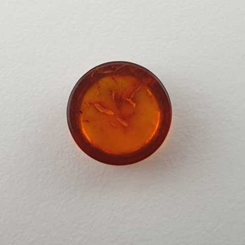 Bursztyn bałtycki kaboszon fi 10 mm nr 584 Bursztyn bałtycki kaboszon fi 10 mm nr 584