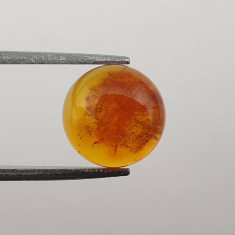 Baltic amber cabochon dia. 10 mm no 588 Baltic amber cabochon dia. 10 mm no 588