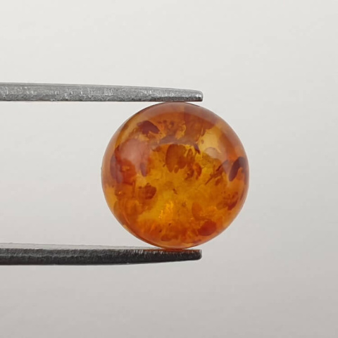 Baltic amber cabochon fi 10 mm no 592 Baltic amber cabochon fi 10 mm no 592