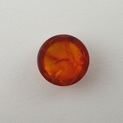 Baltic amber cabochon fi 10 mm no 595 Baltic amber cabochon fi 10 mm no 595