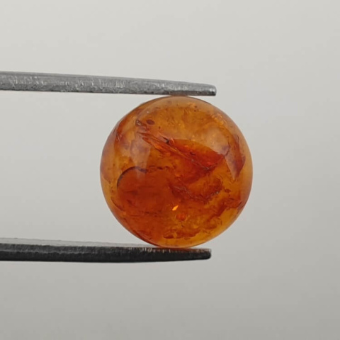 Baltic amber cabochon dia. 10 mm no 596 Baltic amber cabochon dia. 10 mm no 596