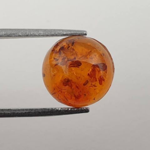 Baltic amber cabochon fi 10 mm no. 604 Baltic amber cabochon fi 10 mm no. 604