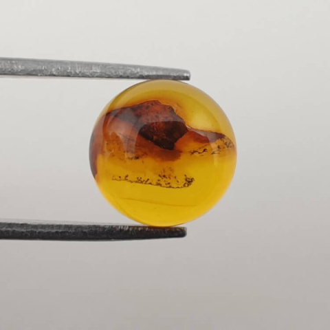 Baltic amber cabochon fi 10 mm no. 609 Baltic amber cabochon fi 10 mm no. 609