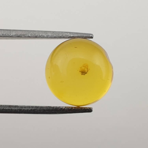 Bursztyn bałtycki kaboszon fi 10 mm nr 610 Bursztyn bałtycki kaboszon fi 10 mm nr 610