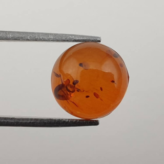 Bursztyn bałtycki kaboszon fi 10 mm nr 615