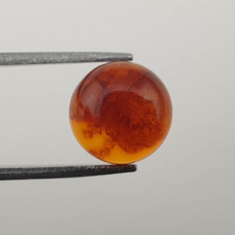 Baltic amber cabochon dia. 10 mm no 620 Baltic amber cabochon dia. 10 mm no 620