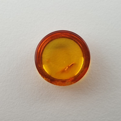 Baltic amber cabochon fi 10 mm no. 622 Baltic amber cabochon fi 10 mm no. 622