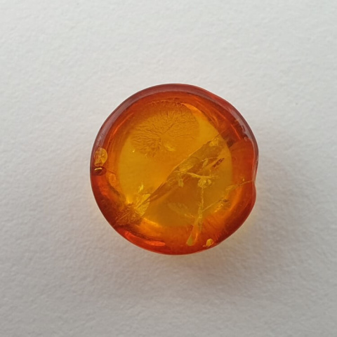 Baltic amber cabochon fi 10 mm no. 626 Baltic amber cabochon fi 10 mm no. 626