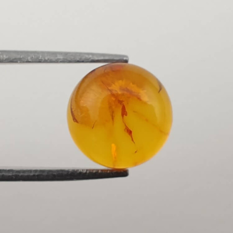 Bursztyn bałtycki kaboszon fi 10 mm nr 628 Bursztyn bałtycki kaboszon fi 10 mm nr 628