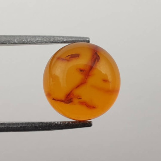Bursztyn bałtycki kaboszon fi 10 mm nr 631