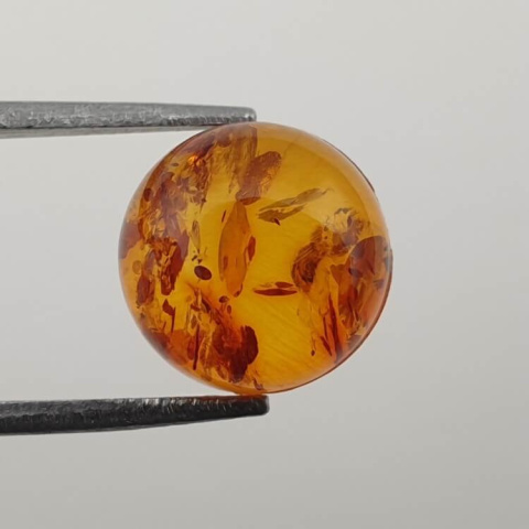 Baltic amber cabochon fi 10 mm no 632 Baltic amber cabochon fi 10 mm no 632