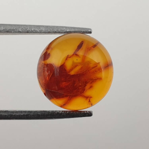 Baltic amber cabochon fi 10 mm no 636 Baltic amber cabochon fi 10 mm no 636