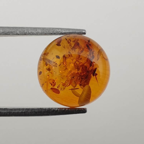 Baltic amber cabochon fi 10 mm no 638 Baltic amber cabochon fi 10 mm no 638
