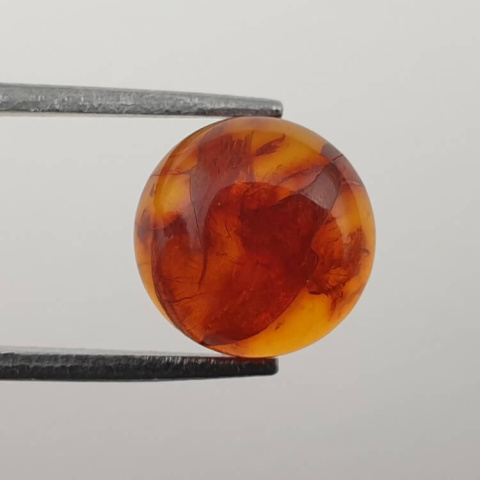 Bursztyn bałtycki kaboszon fi 10 mm nr 640 Bursztyn bałtycki kaboszon fi 10 mm nr 640