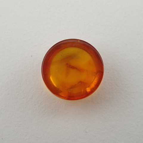 Baltic amber cabochon fi 10 mm no 656 Baltic amber cabochon fi 10 mm no 656