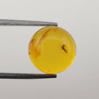 Bursztyn bałtycki kaboszon fi 10 mm nr 658