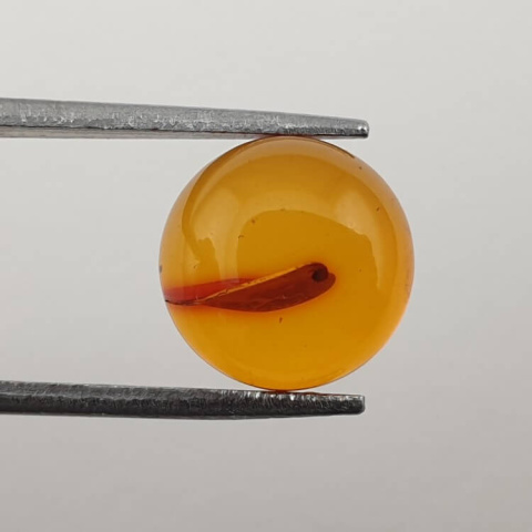 Baltic amber cabochon fi 10 mm no. 660 Baltic amber cabochon fi 10 mm no. 660