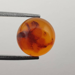 Bursztyn bałtycki kaboszon fi 10 mm nr 662