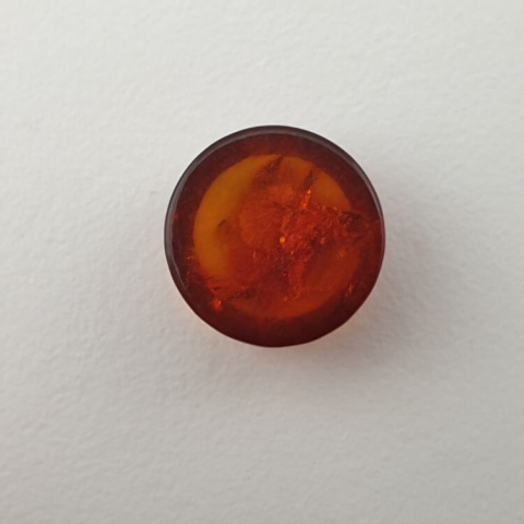 Baltic amber cabochon fi 10 mm no 662 Baltic amber cabochon fi 10 mm no 662