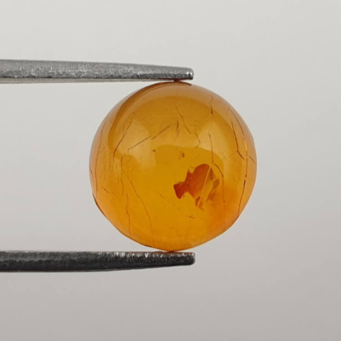 Bursztyn bałtycki kaboszon fi 10 mm nr 666 Bursztyn bałtycki kaboszon fi 10 mm nr 666